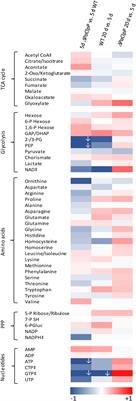 Simultaneous Ablation of the Catalytic AMPK α-Subunit SNF1 and Mitochondrial Matrix Protease CLPP Results in Pronounced Lifespan Extension